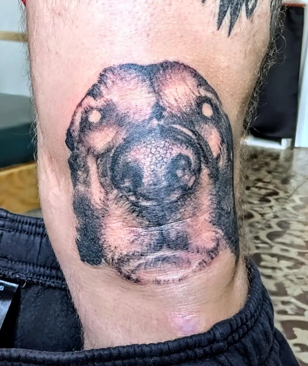 Tatouage Graphique - Ward Ink Black